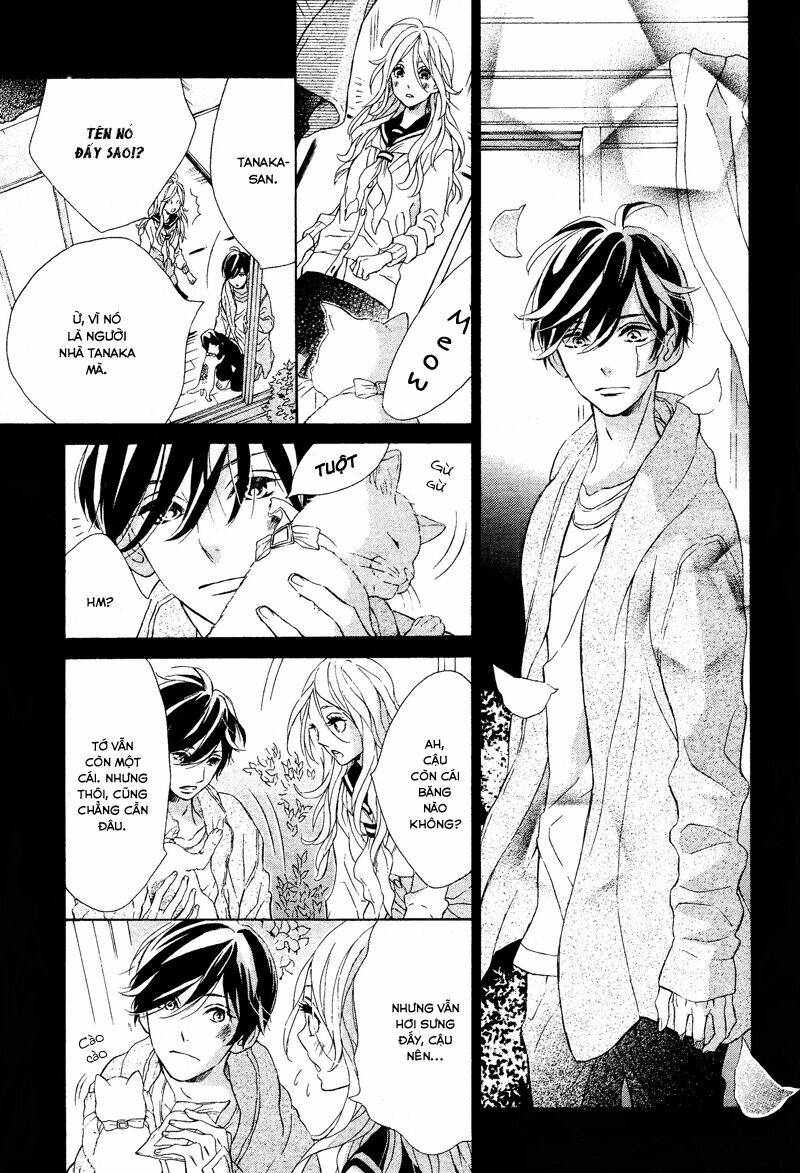 sunrise! chapter 2 25