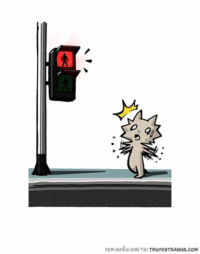 pigeonhole fantasia chapter 55 4