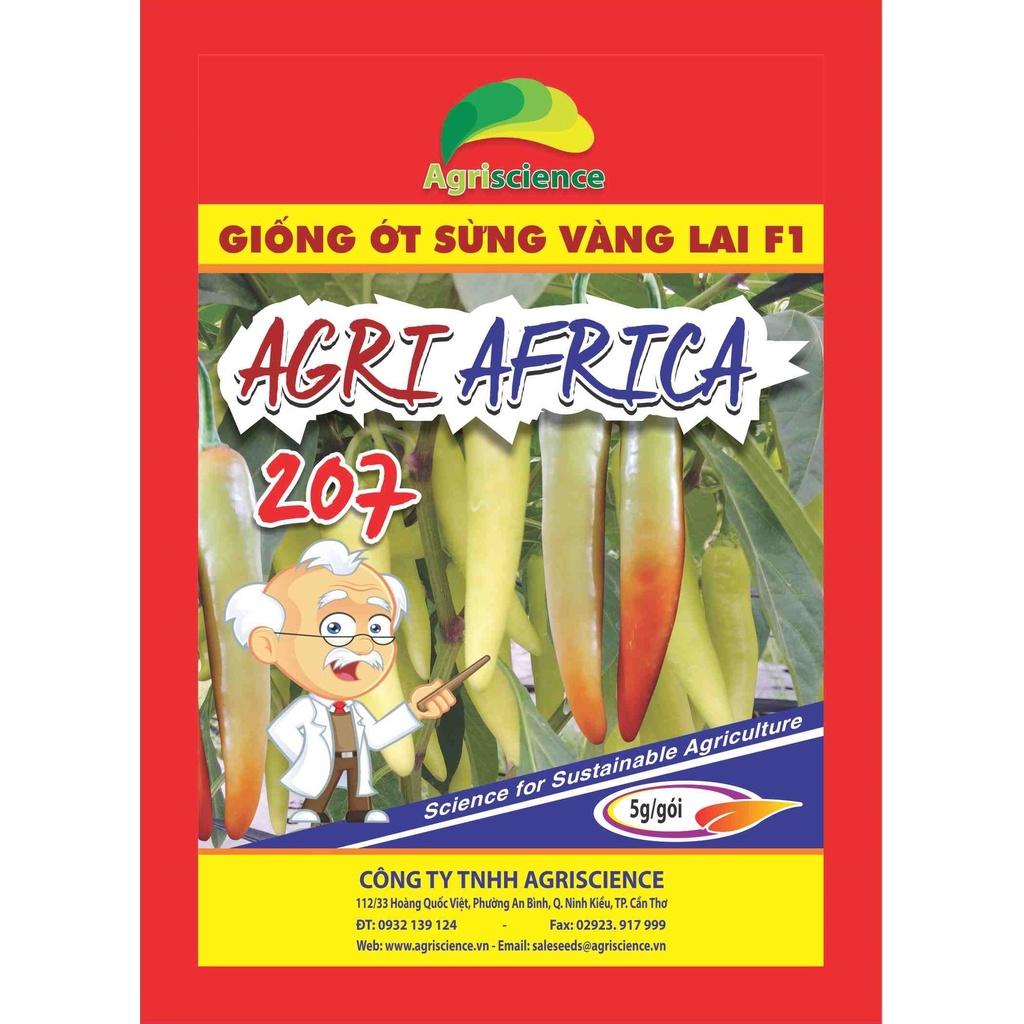 Hạt Giống Ớt Sừng Vàng Lai F1 - AGRI AFRICA 207 -