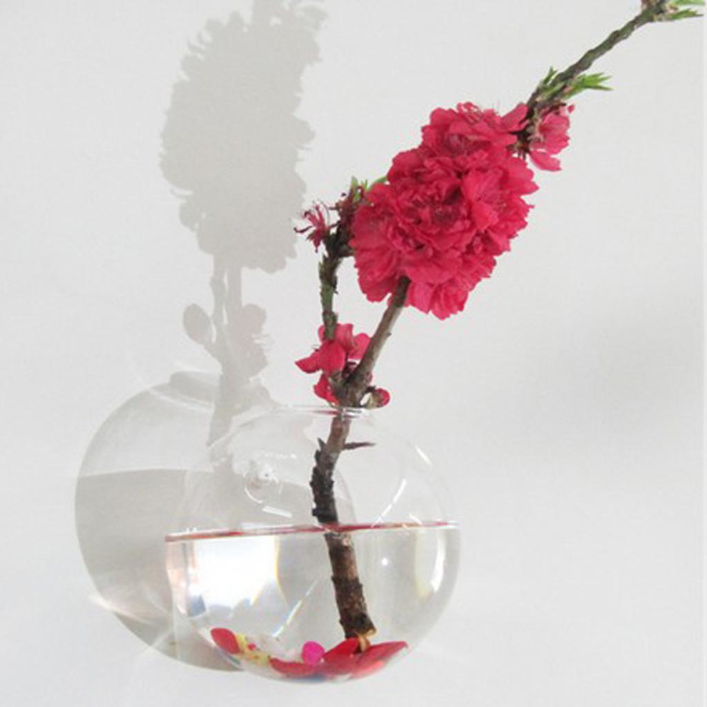 4X Treo Tường Kính Vật Có Nồi Không Vật Có Terrarium Treo Hộp Đựng 12 Cm