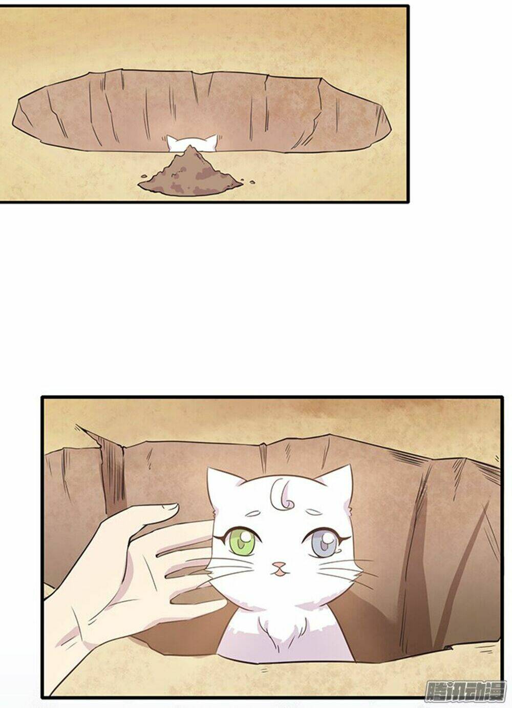 hai chú mèo totem chapter 13 9