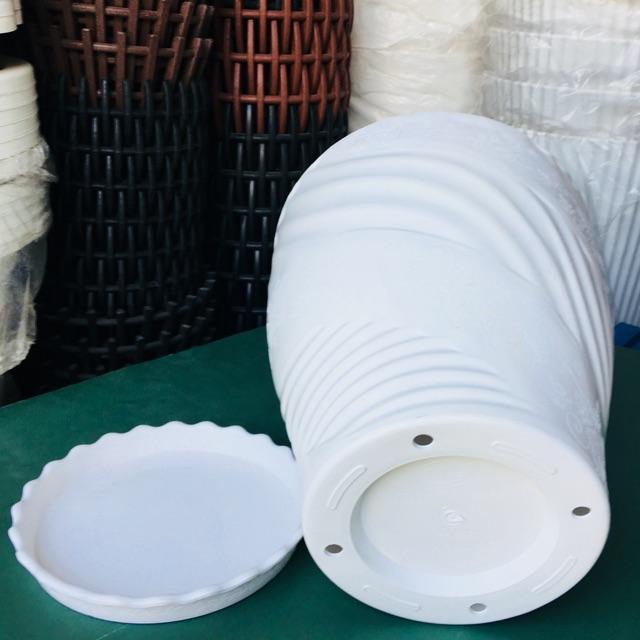 Chậu Nhựa, Chậu Dáng Xoăn Màu Trắng