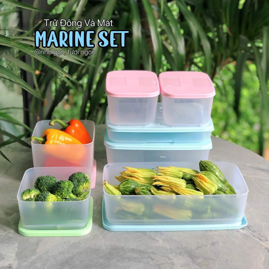Bộ hộp bảo quản trữ mát và trữ đông Marine  TUPPERWARE HÀNG CHÍNH HÃNG