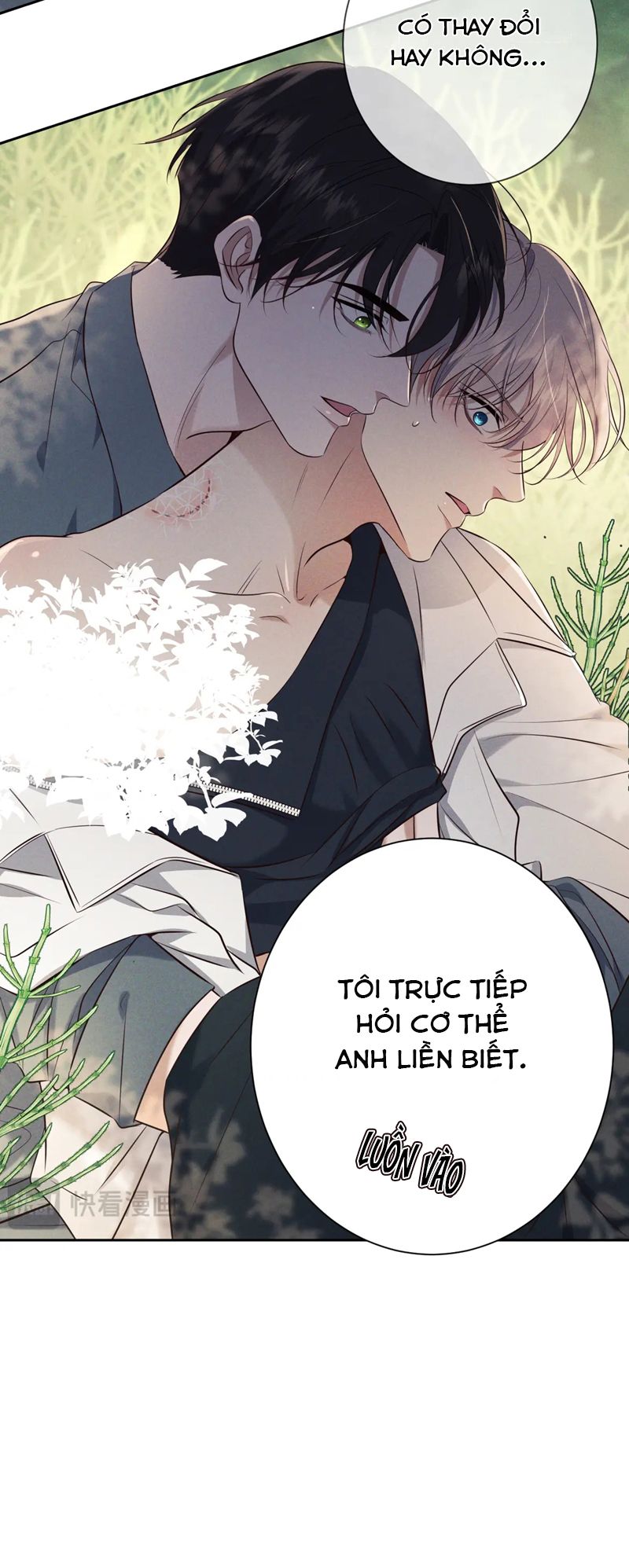 Đêm Tình Yêu Và Sát Ý chapter 17