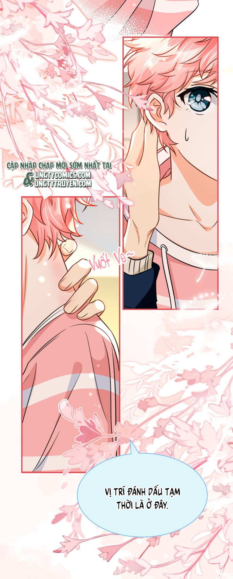 tín tức tố nói chúng ta không thể chapter 47 43