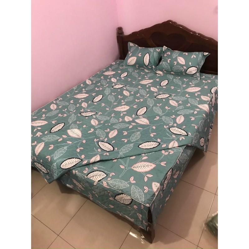 Bộ chăn ga gối trần bông ga phủ mẫu 3