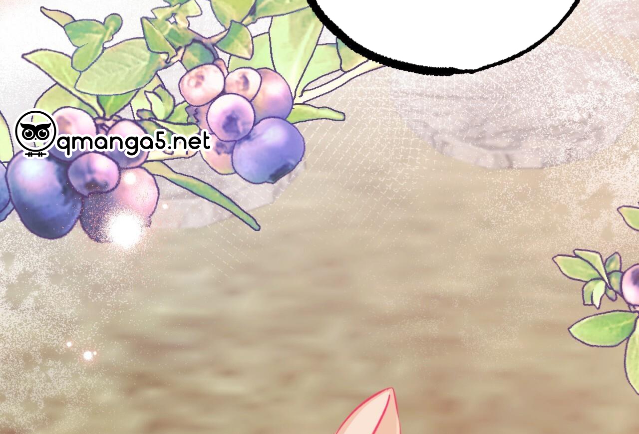 đàn thỏ của habibi chapter 65 202