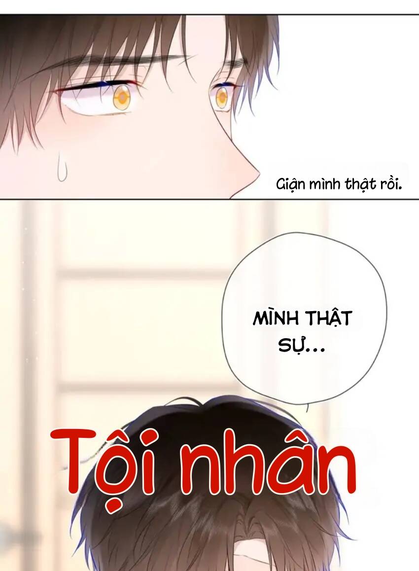 vì sao của tôi chapter 131 50