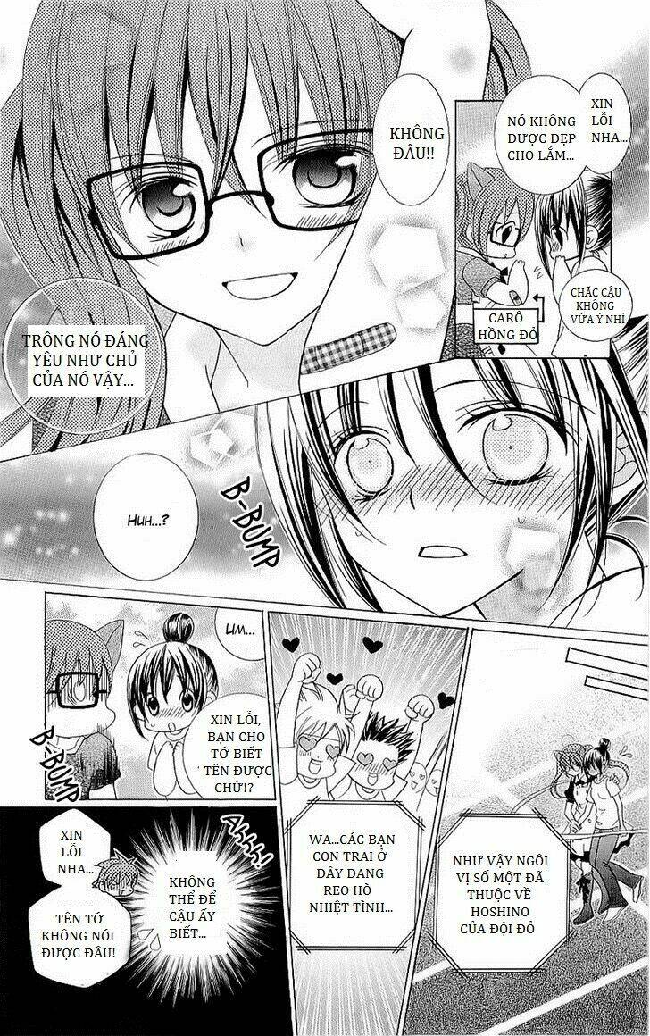 suki desu suzuki-kun!! chapter 40.5 13