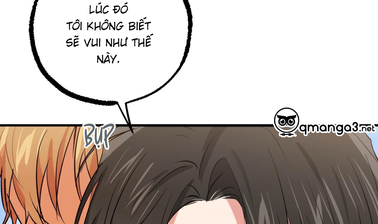những chú thỏ của hapypy chapter 53 135