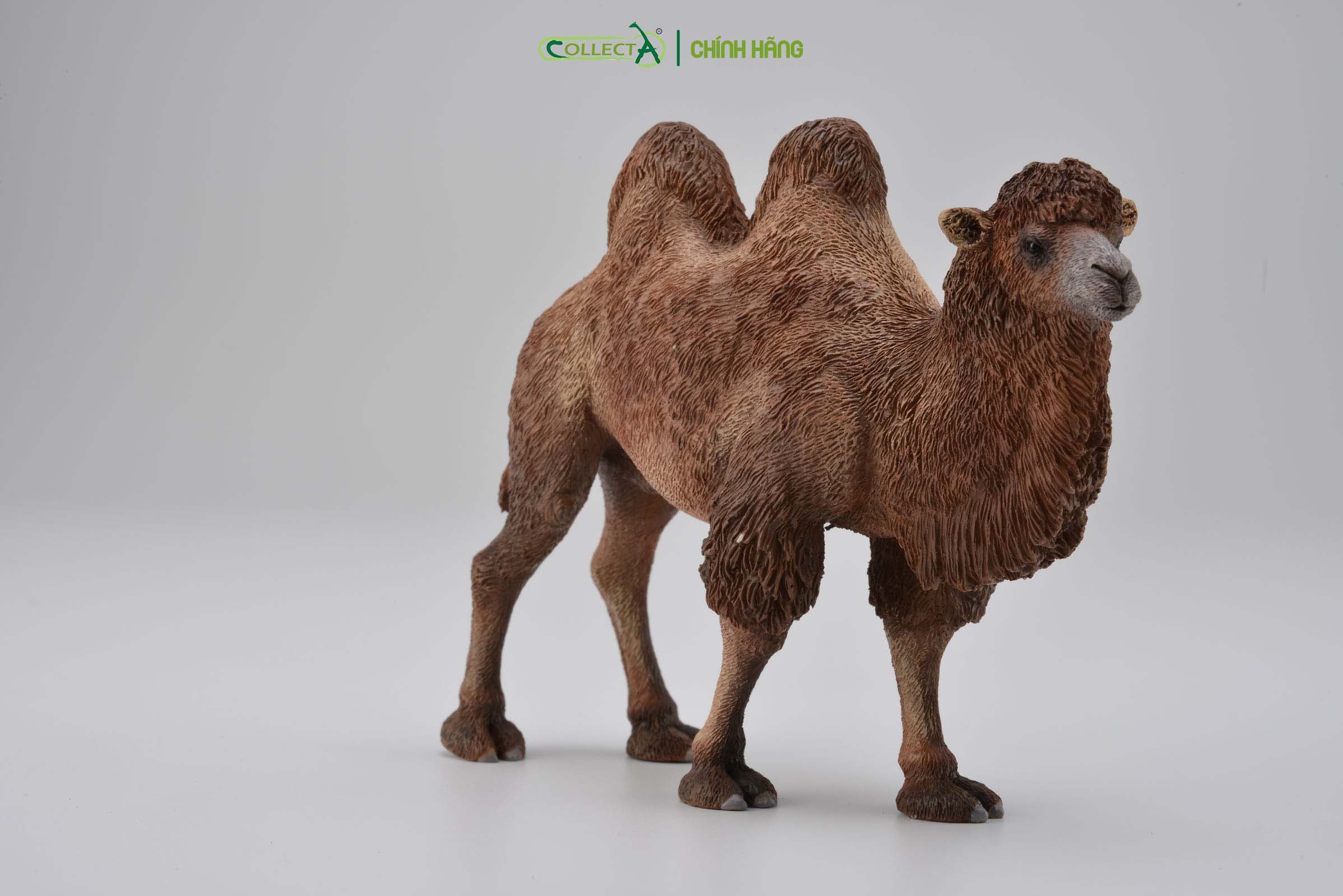 Mô hình thu nhỏ: Lạc Đà - Bactrian Camel, hiệu: CollectA, mã HS 9651180 - Chất liệu an toàn cho trẻ - Hàng chính hãng