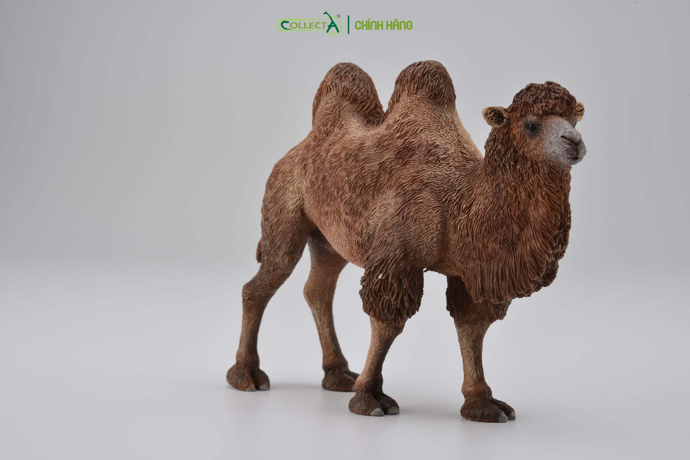 Mô hình thu nhỏ: Lạc Đà - Bactrian Camel, hiệu: CollectA, mã HS 9651180[88807] -  Chất liệu an toàn cho trẻ - Hàng chính hãng