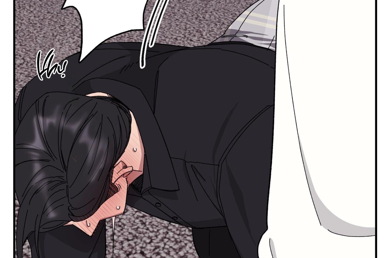 chàng dâu nhà họ kang chapter 34 132