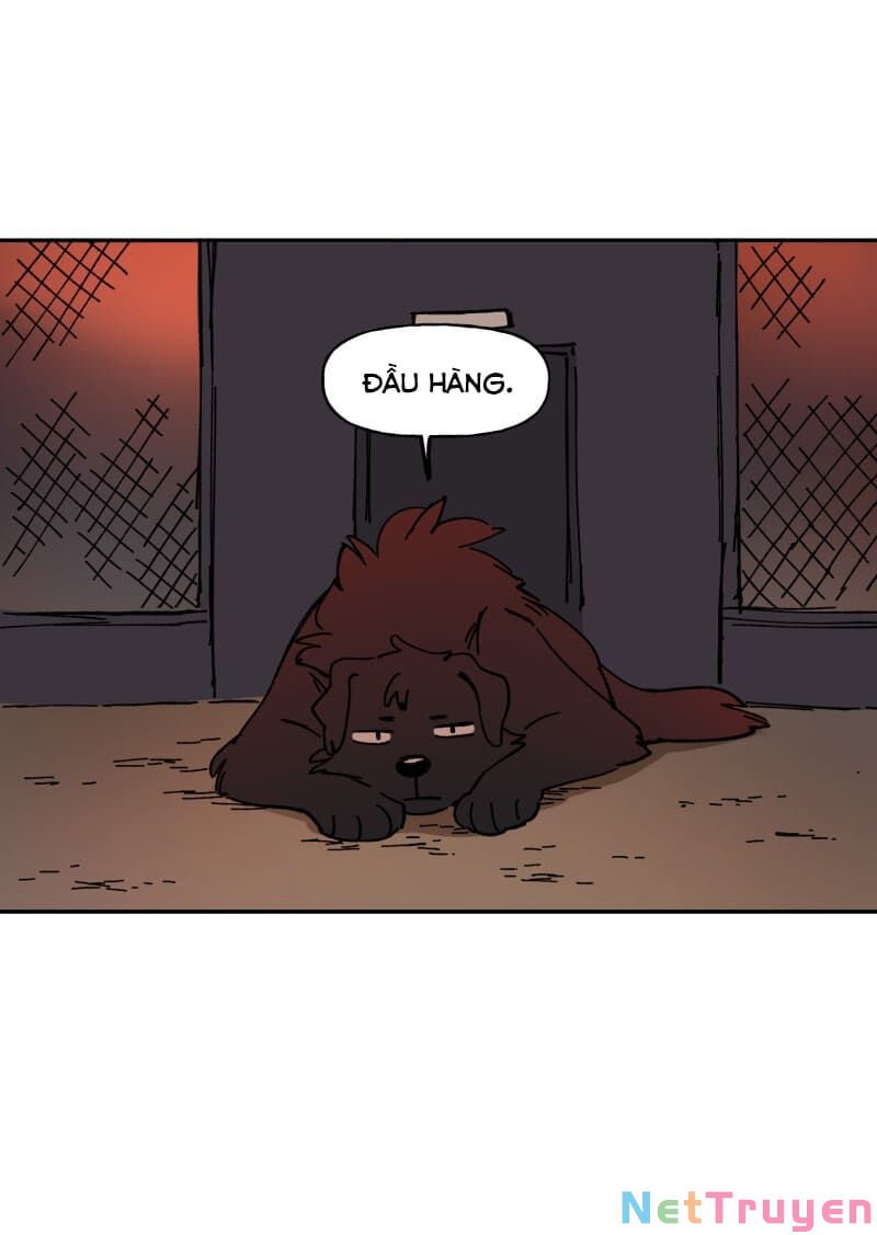 lumine - cội nguồn ánh sáng chapter 113 46