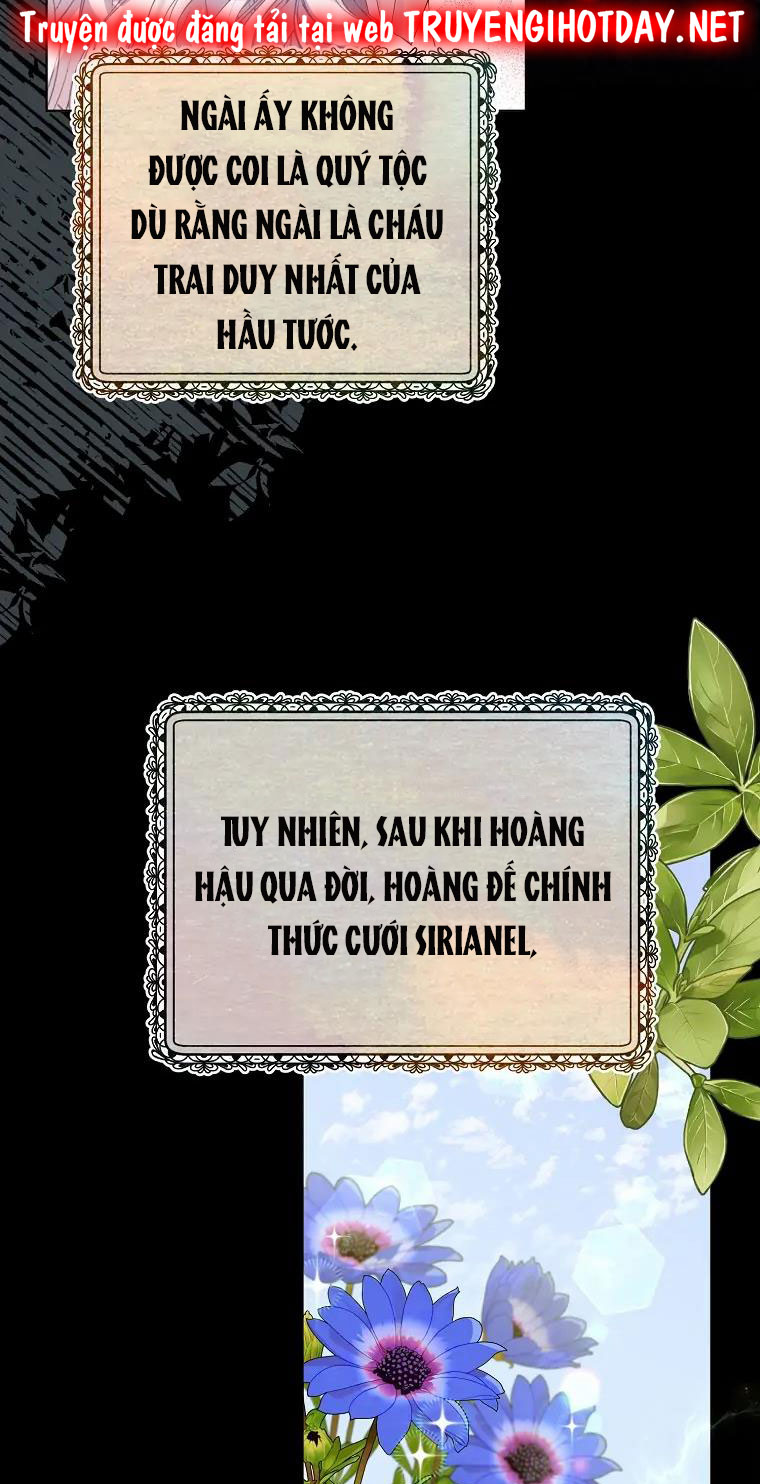 aster yêu dấu của tôi chapter 3 10