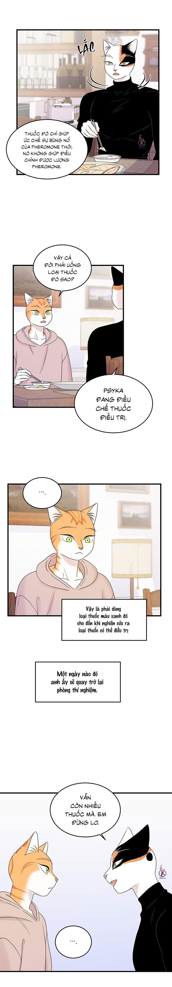 dự án xanh chapter 39 7