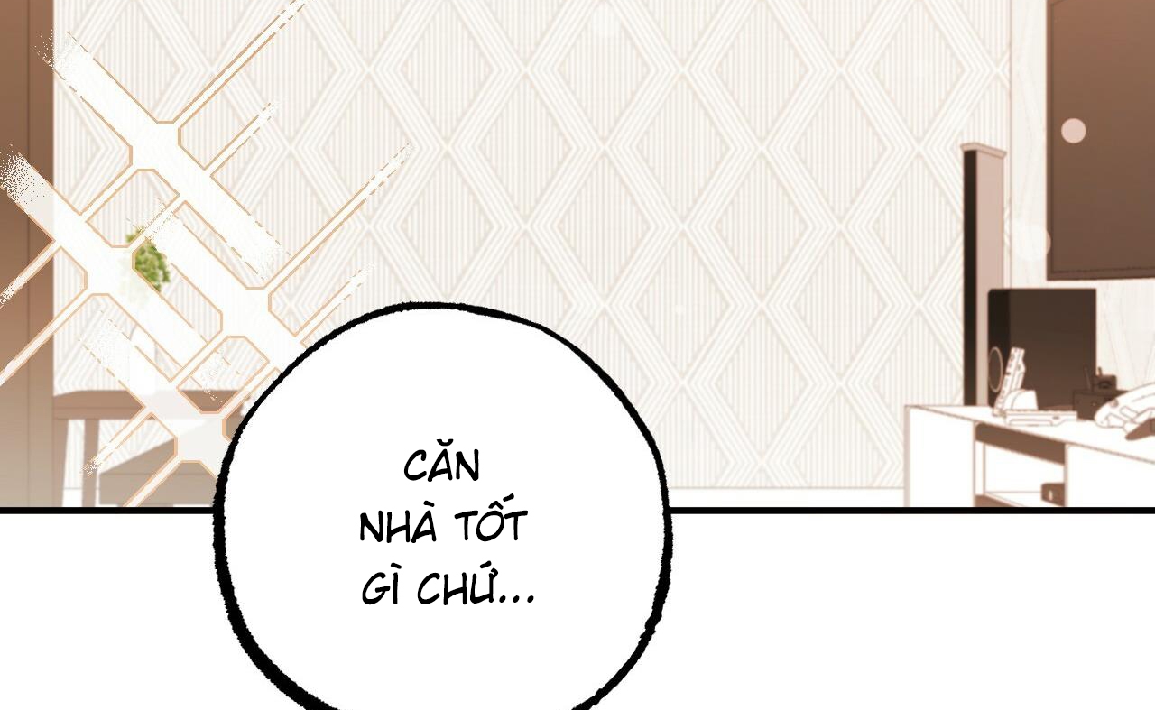 đàn thỏ của habibi chapter 52 143