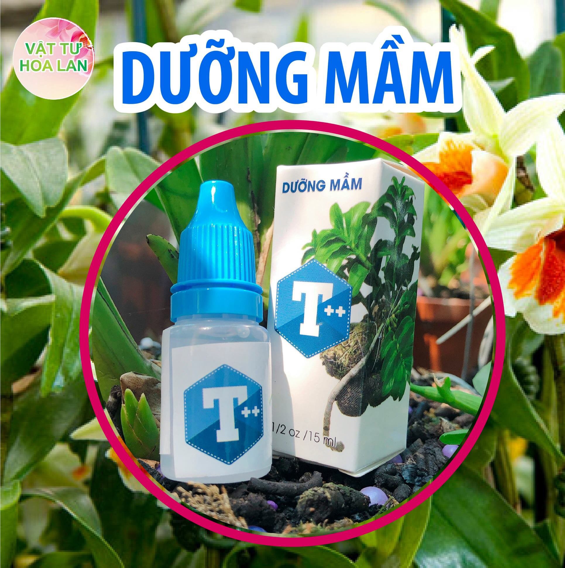BỘ ĐÔI CHẾ PHẨM T++ PHONG LAN SIÊU DƯỠNG MẦM, KÍCH RỄ