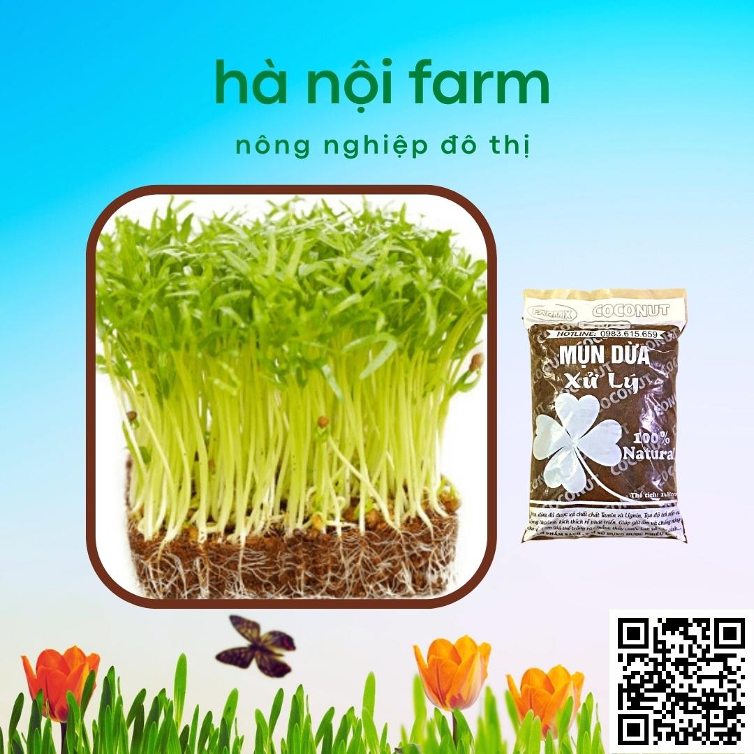 Túi 10L - Mùn Dừa, Xơ Dừa Đã Qua Xử Lý . Trồng Rau Sạch và Hoa Hồng Bằng Đất Sạch, Xơ Dừa, Trấu Hun Và Phân Bón Hữu Cơ