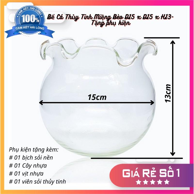 Bể Cá Thủy Tinh Hồ Cá Mini Miệng Bèo D15 x D15 x H13- Tặng phụ kiện trang trí
