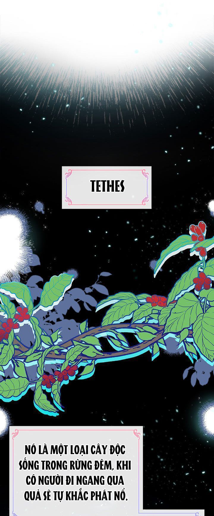 chị tôi đã nhặt về một nam chính quyến rũ chapter 11 3