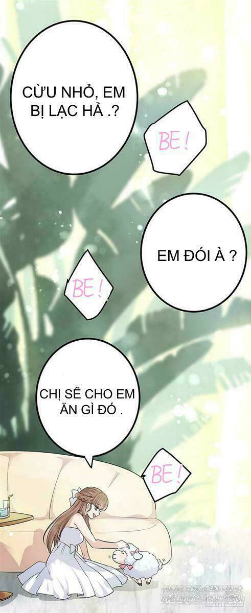 chào buổi sáng, ức vạn manh thê chapter 2 59