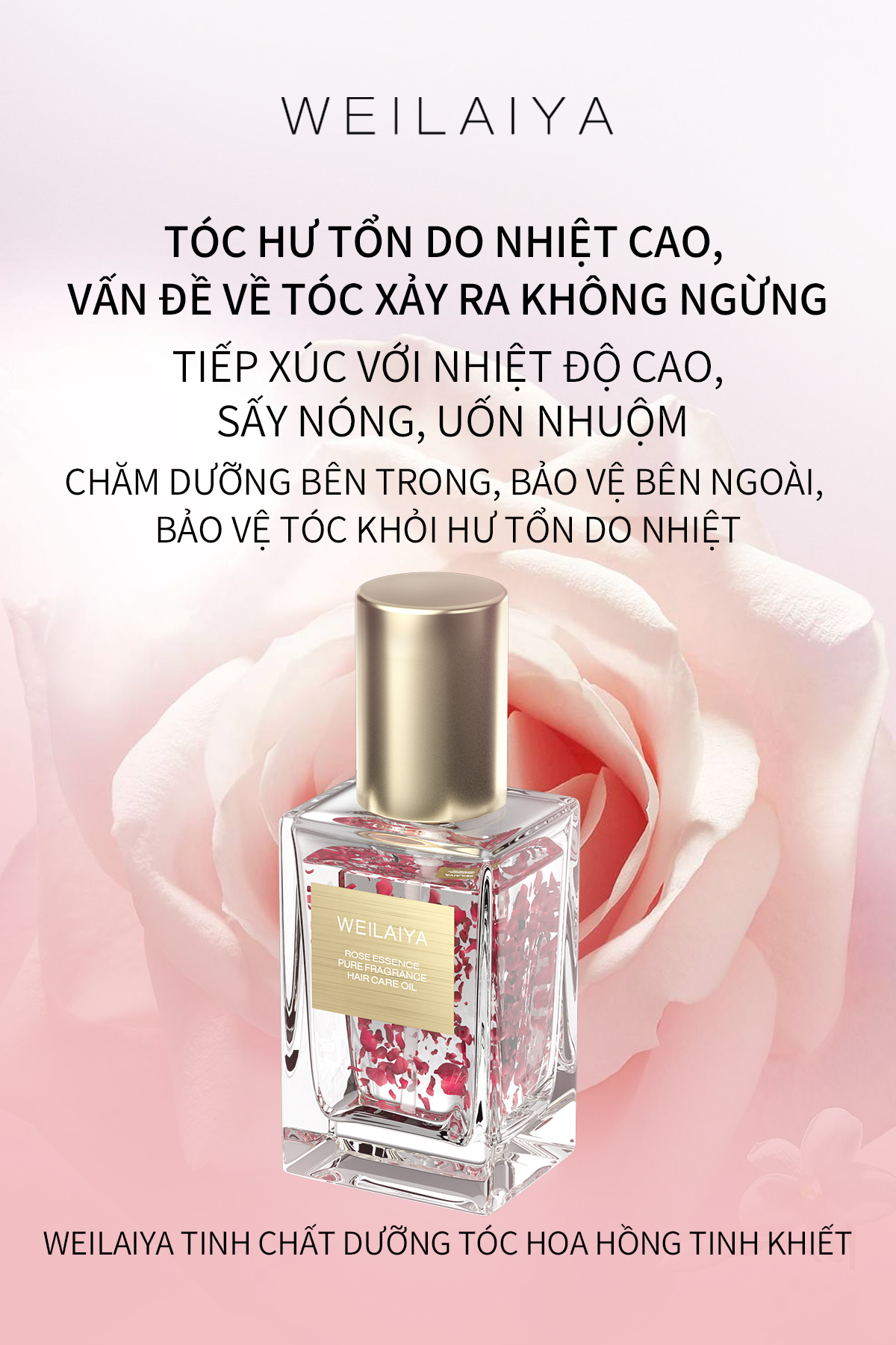 Tinh dầu dưỡng tóc WEILAIYA chiết xuất cánh hoa hồng phục hồi tóc hư tổn, giảm sơ rối, chẻ ngọn, không gây bết dính