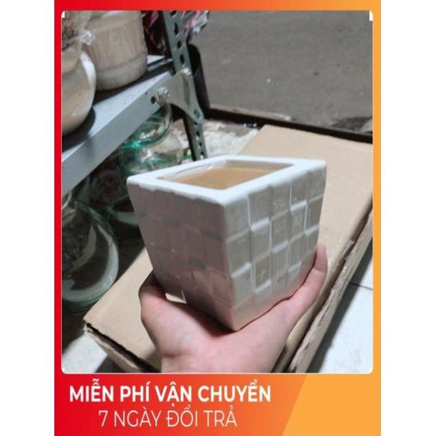 Nhất Mạt Hương  kèm chậu sứ