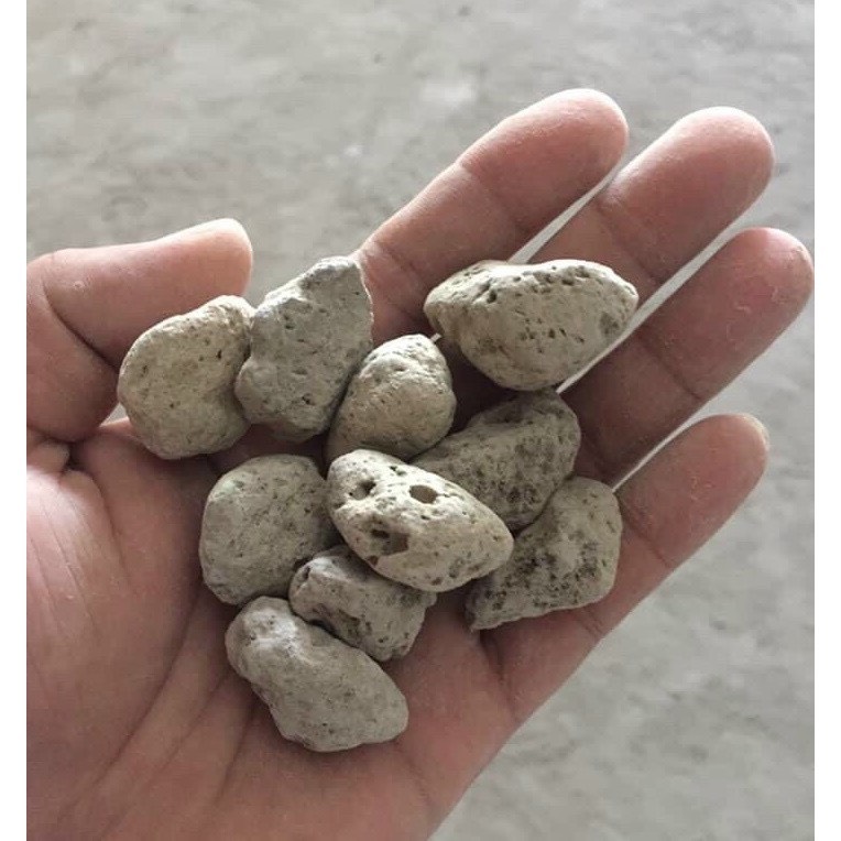 1Kg Đá Pumice Indonesia Full Size - Đá Phủ Mặt Sen Đá, Xương Rồng