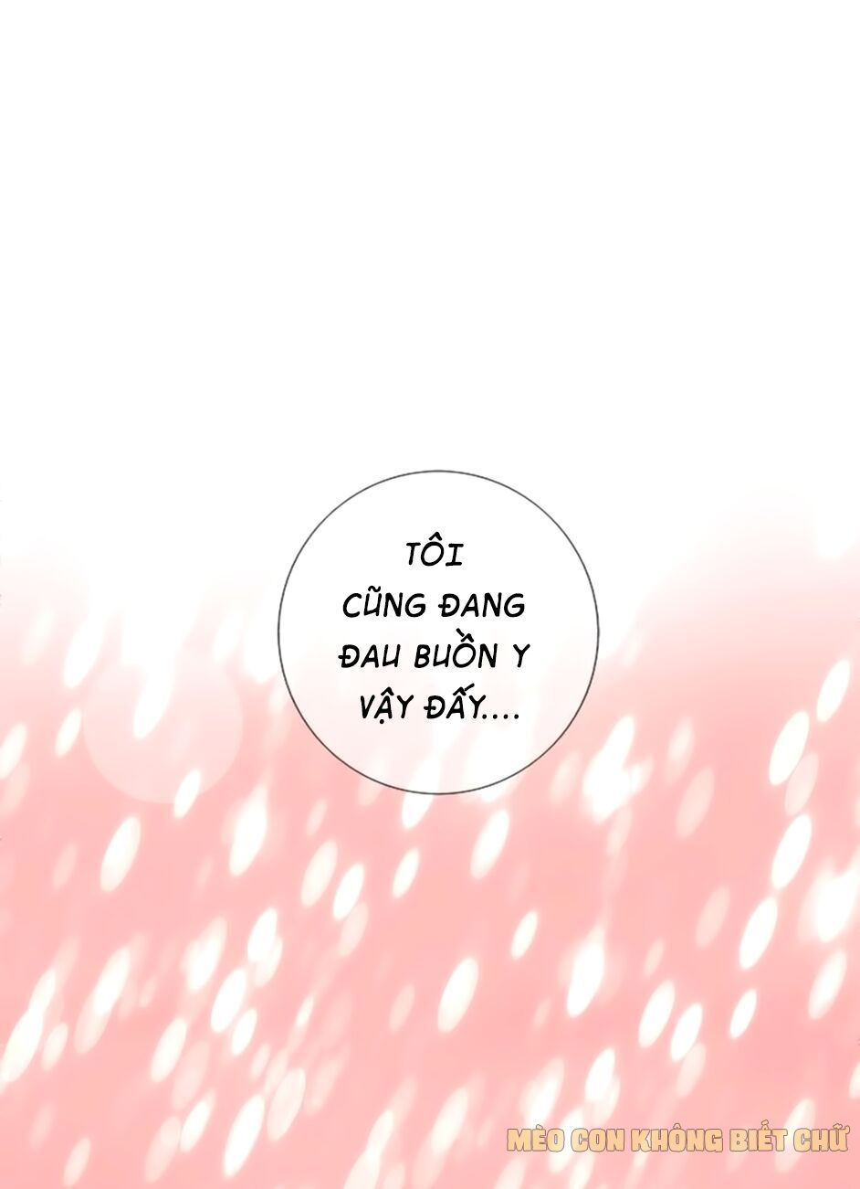 không có ssr làm sao để yêu chapter 2 14