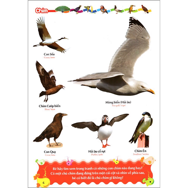 Sách Từ Điển Tranh Về Các Con Vật/ Rau- Củ-Quả-Hoa - ảnh 3