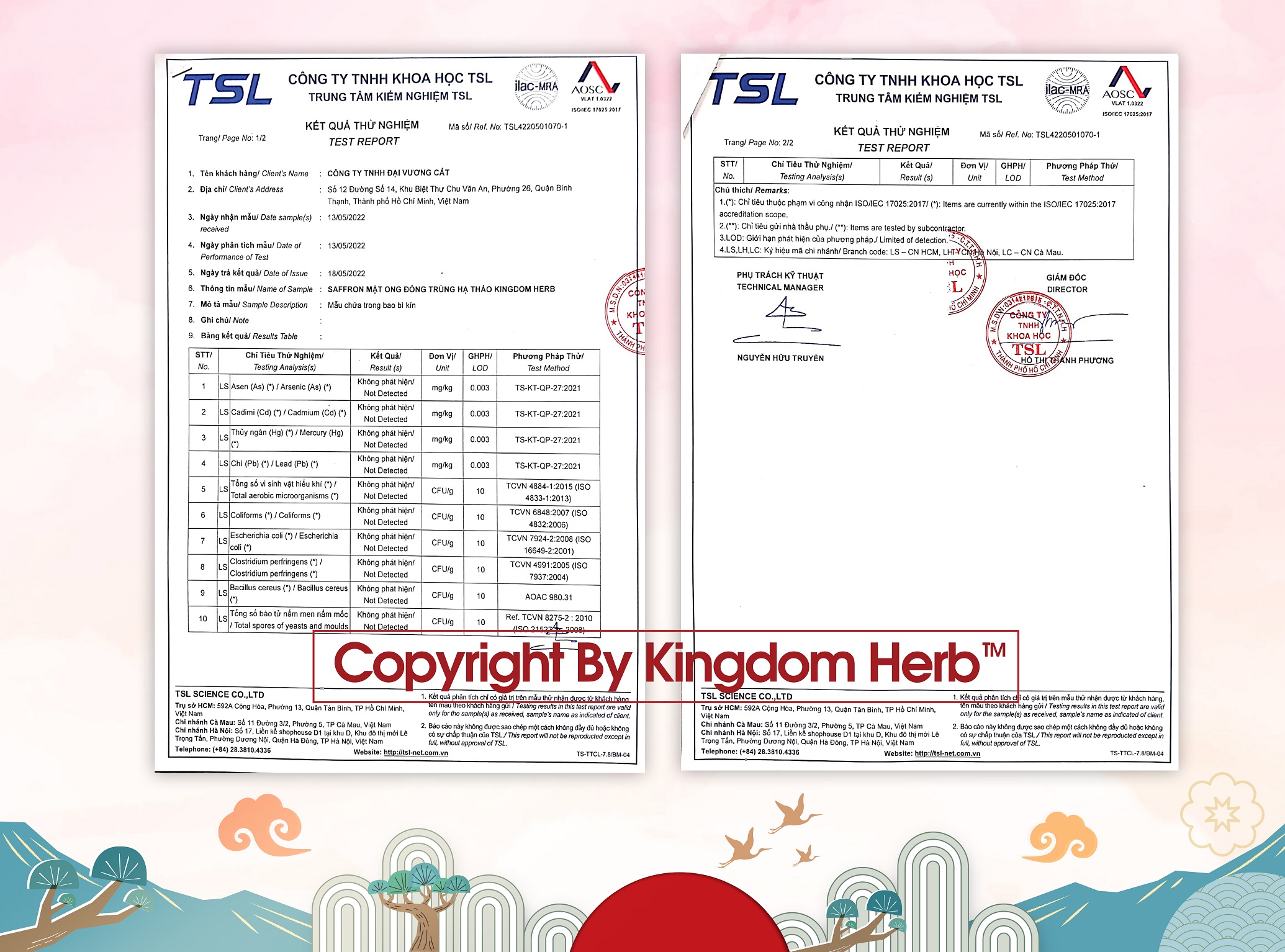 Saffron mật ong đông trùng hạ thảo Kingdom Herb chính hãng thượng hạng hộp 312g