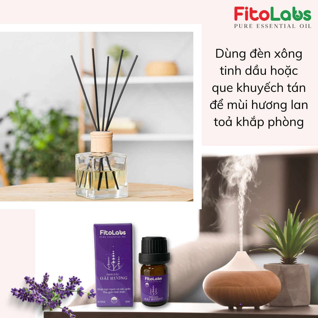 Tinh Dầu Oải hương Fitolabs Giúp Thư Giãn, Cải Thiện Giấc Ngủ, Ngủ Ngon Sâu Giấc