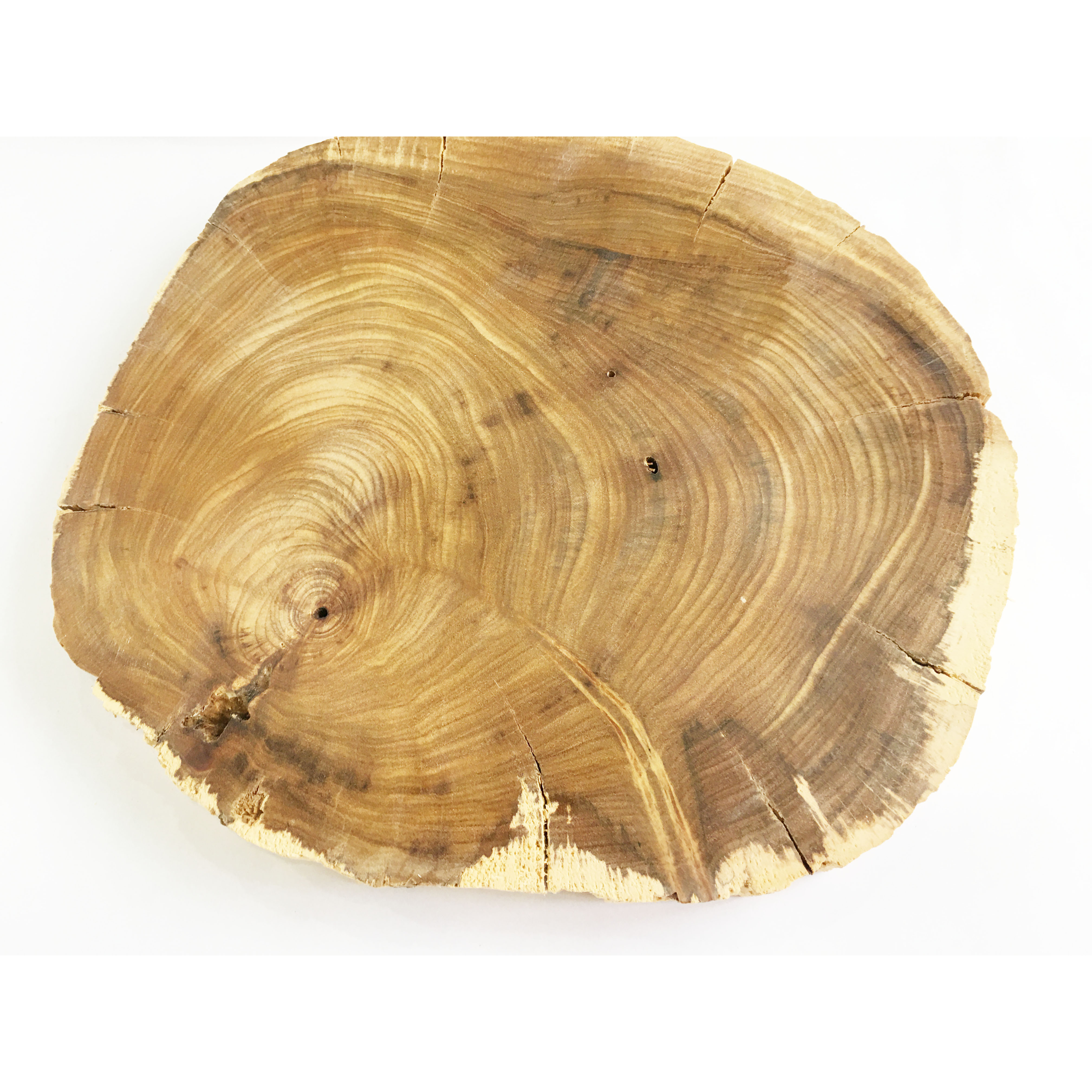 Khoanh gỗ lũa dùng trang trí, decor vintage, chụp ảnh KT 18-25cm