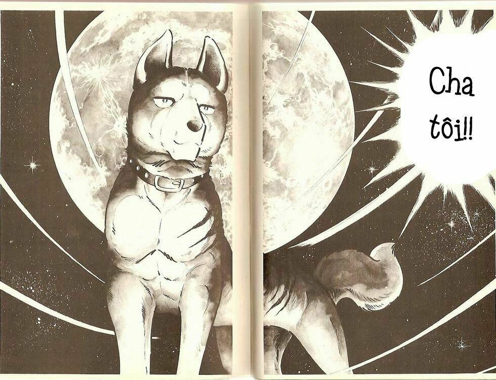 chú chó có nghĩa - ginga nagareboshi gin chapter 11 5