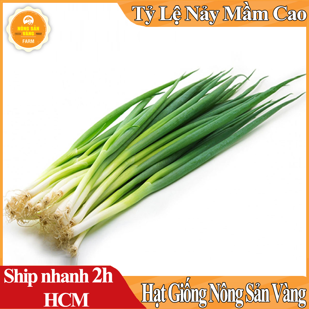 Hạt giống Hành Lá, Dễ Trồng, Thiết Yếu Cho Mỗi Bữa Cơm Gia Đình - Nông Sản Vàng