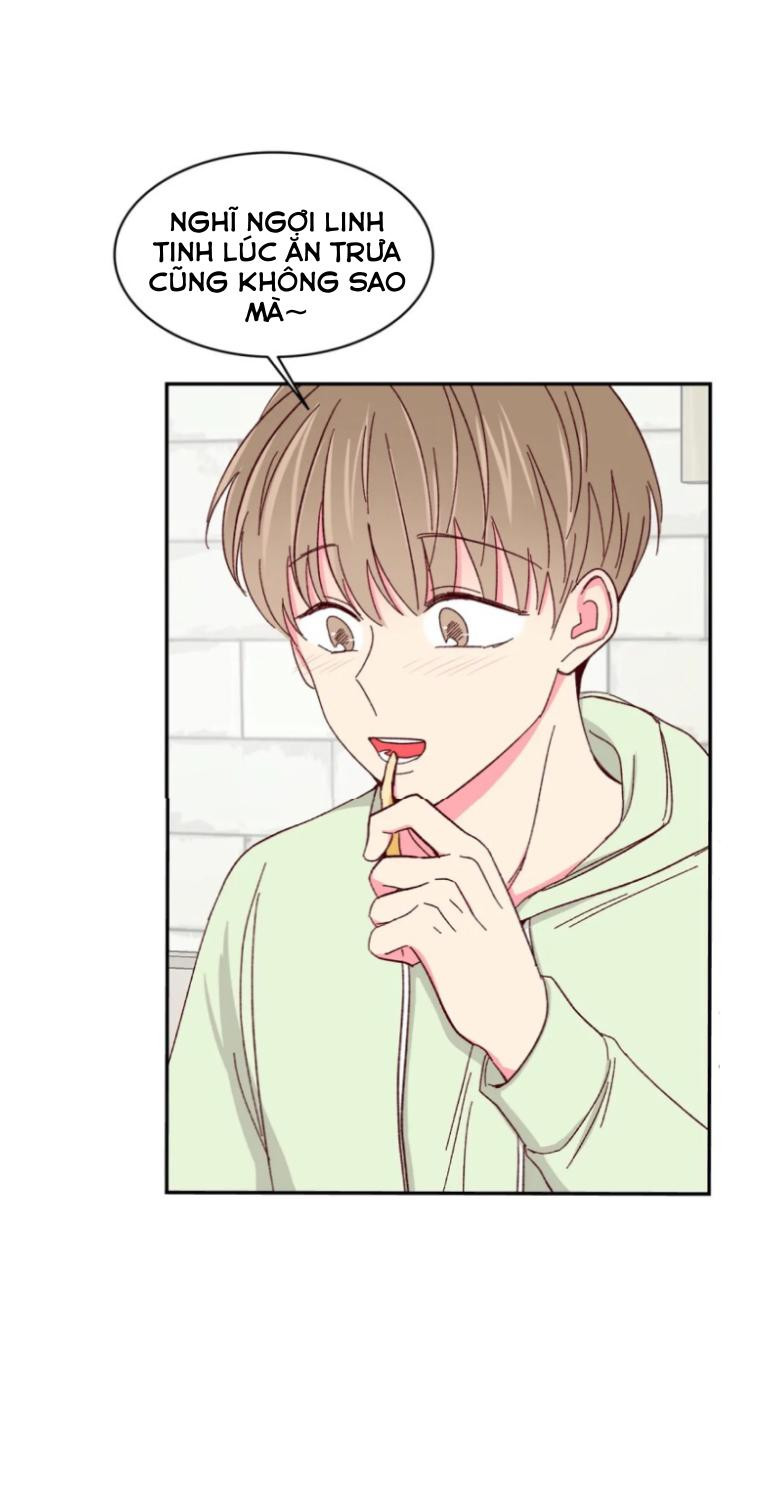 món tráng miệng của sếp tổng chapter 54 8
