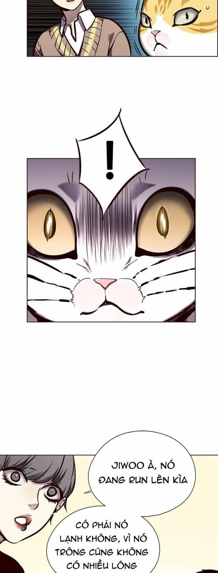 biến thân thành mèo chapter 143 44