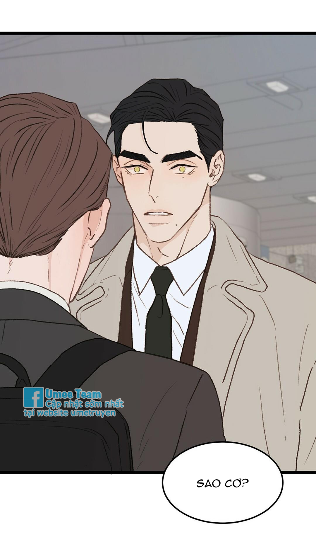 vùng cấm tình yêu của beta chapter 31 47