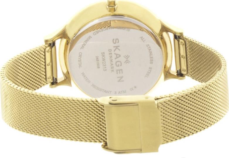 Đồng Hồ Skagen SKW2313 Nữ - màu vàng (Hàng nhập khẩu)