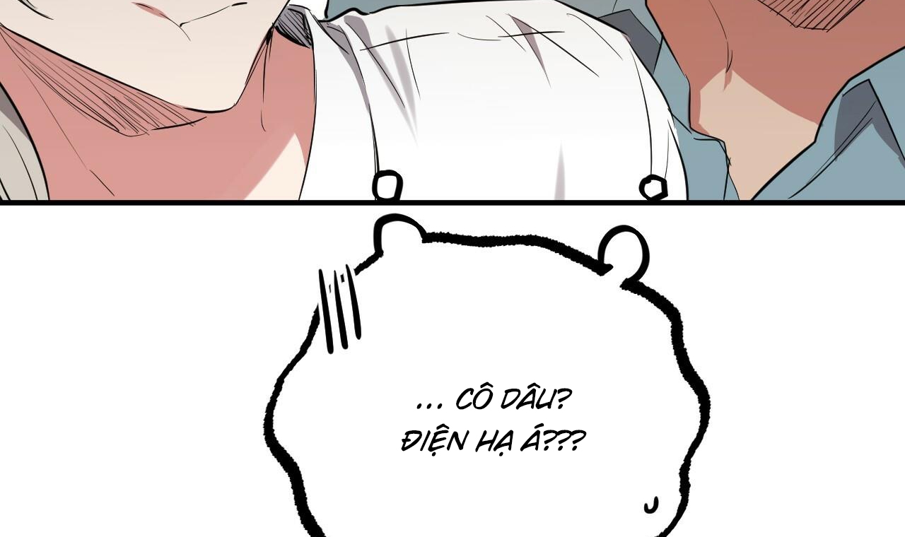 những chú thỏ của hapypy chapter 51 137