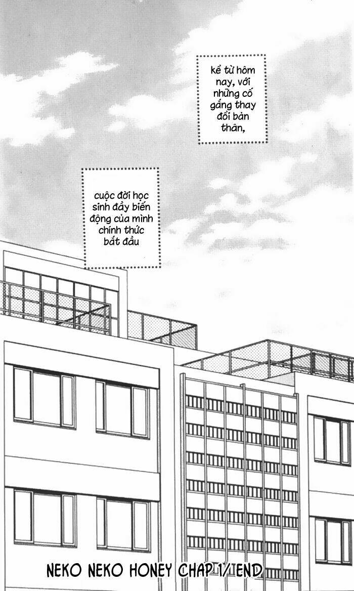 neko neko honey chapter 1 35