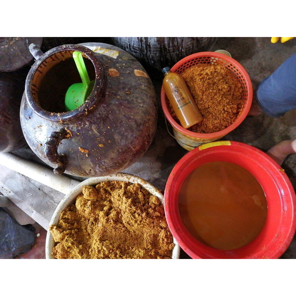 RƯỢU GỪNG - NGHỆ - HẠT GẤC hạ thổ cho mẹ sinh chai 1 lít