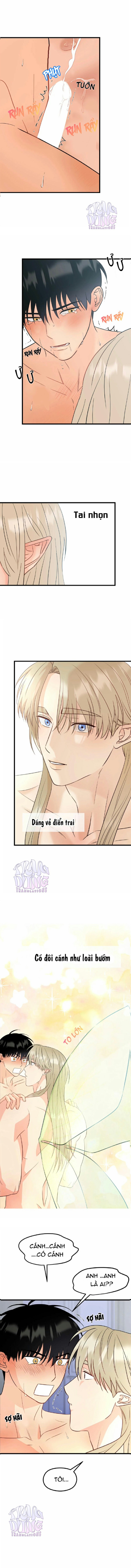 ghép đôi cổ tích chapter 1 10