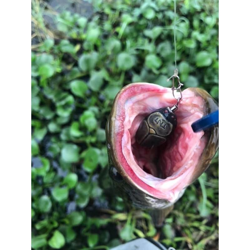 Mồi cc40 của nhà TNT