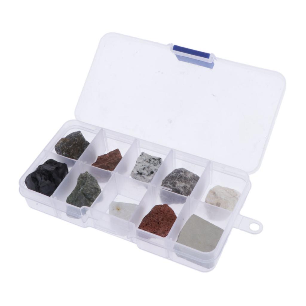10 chiếc Đá Đá Khoáng Bộ Giáo Dục Địa Chất Học Mẫu Vật