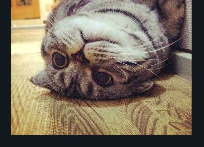 cuộc chiến trong tòa tháp chapter 189 42