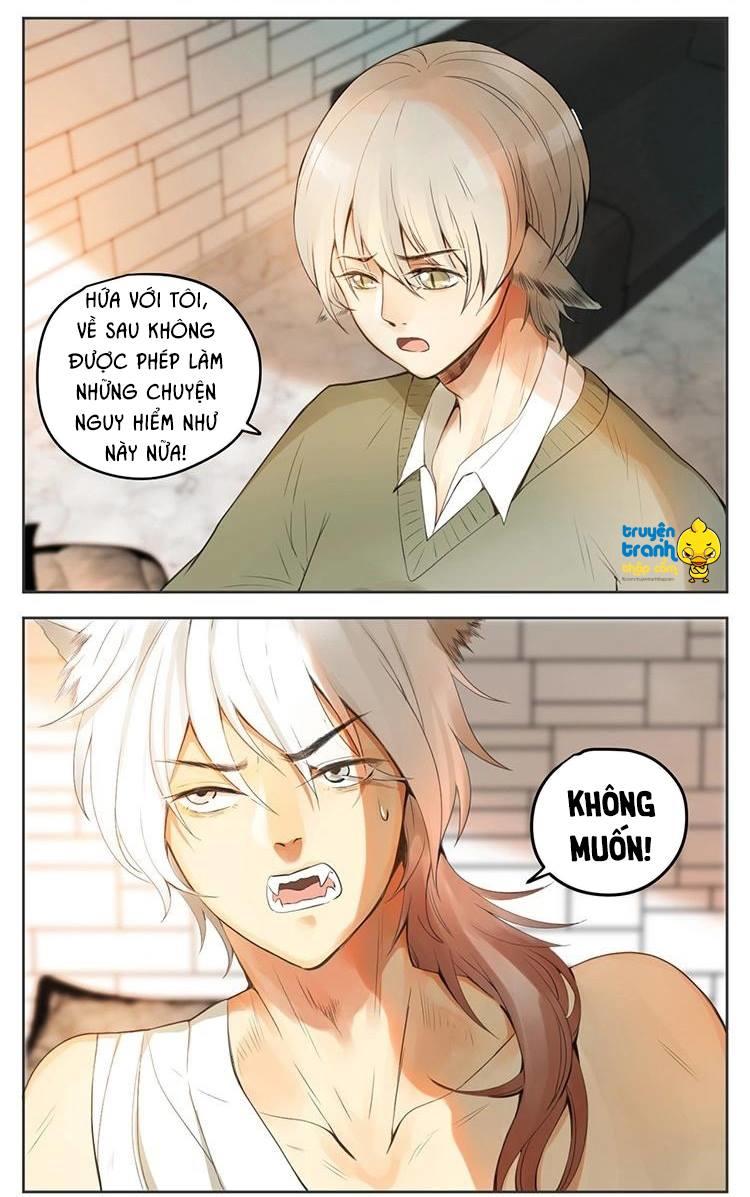 cứu mạng ! loài mèo thống trị thế giới rồi ! chapter 29 3