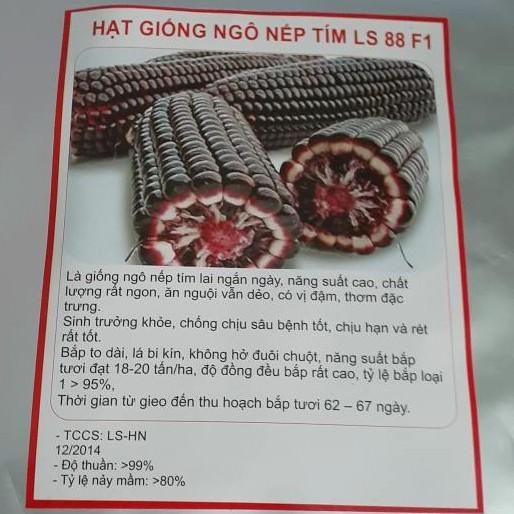 Hạt giống ngô nếp tím Thái Lan _gói 1kg