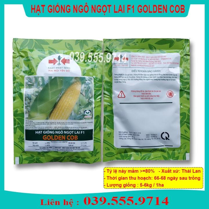Hạt Giống Ngô Ngọt Lai  F1 GOLDEN COB 50gram - Hạt Ngô To Đều Đẹp